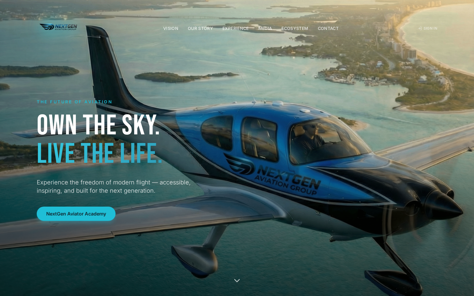 NextGen Aviation Group — St. Johns County — new website